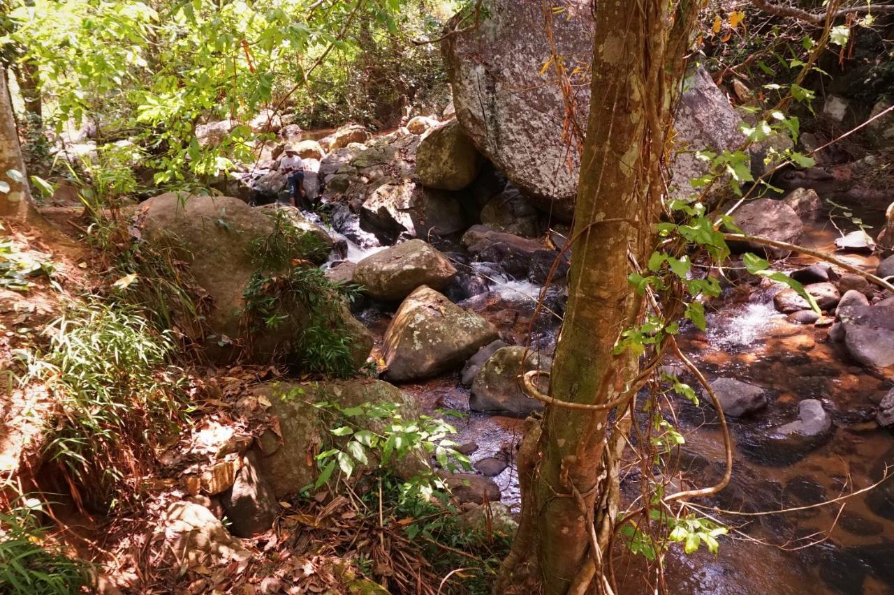 Retiyagama Eco Resort Teldeniya Bagian luar foto