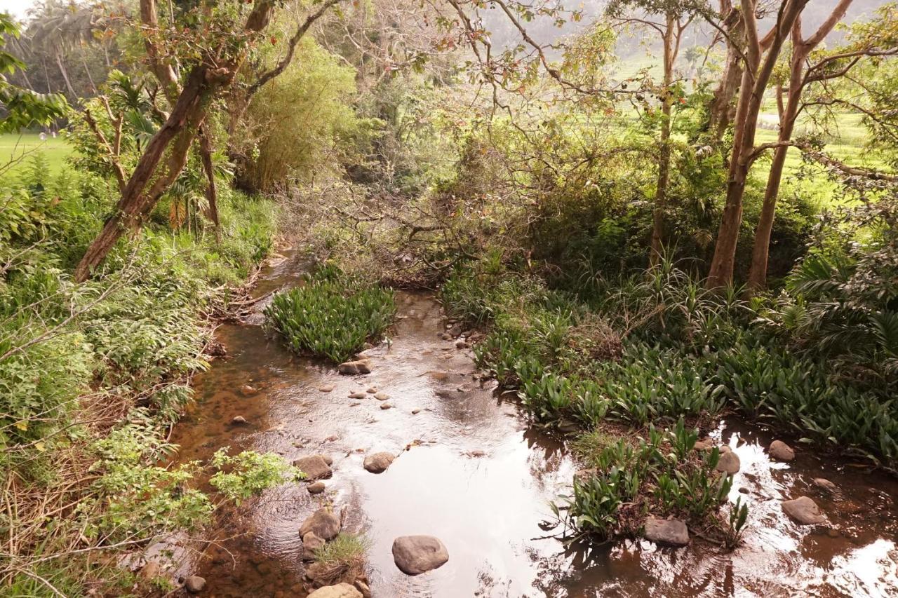 Retiyagama Eco Resort Teldeniya Bagian luar foto